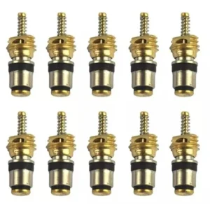NUCLEO VALVULA SCHRADER CLIO/MEGANE/SCENIC/PEUGEOT PCT 10 PC | Jetcooler